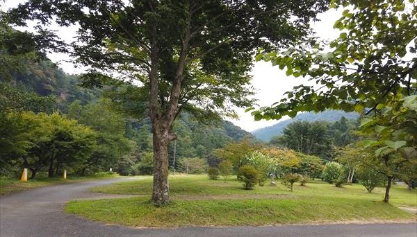 湯島オートキャンプ場