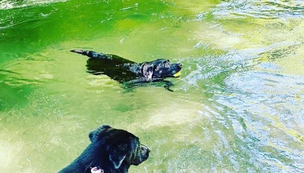 甘楽野BASE 甘楽野BASE