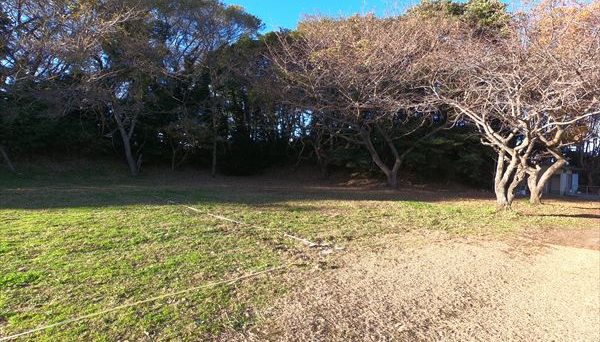 田の上キャンプ場 田の上キャンプ場