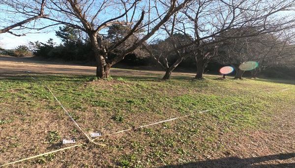 田の上キャンプ場 田の上キャンプ場