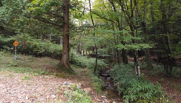 白樺高原キャンプ場 白樺高原キャンプ場