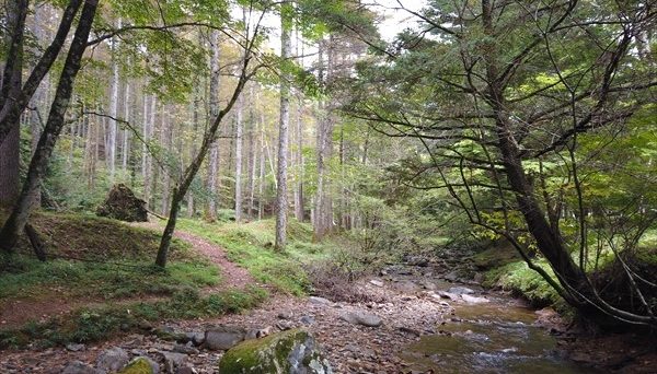 白樺高原キャンプ場 白樺高原キャンプ場