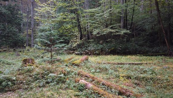 白樺高原キャンプ場 白樺高原キャンプ場