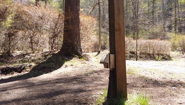 皇海山キャンプフォレスト