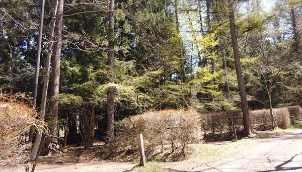 皇海山キャンプフォレスト