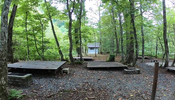 真湯野営場