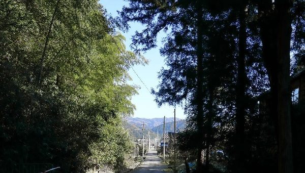 知恵の神様のいるキャンプ場