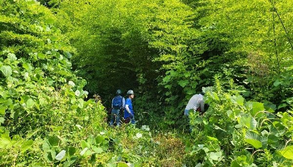 知恵の神様のいるキャンプ場