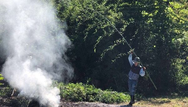 知恵の神様のいるキャンプ場