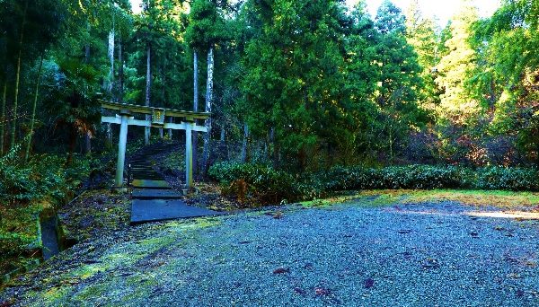 知恵の神様のいるキャンプ場