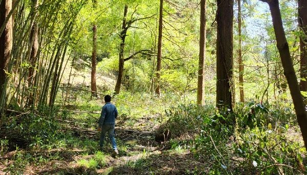 知恵の神様のいるキャンプ場