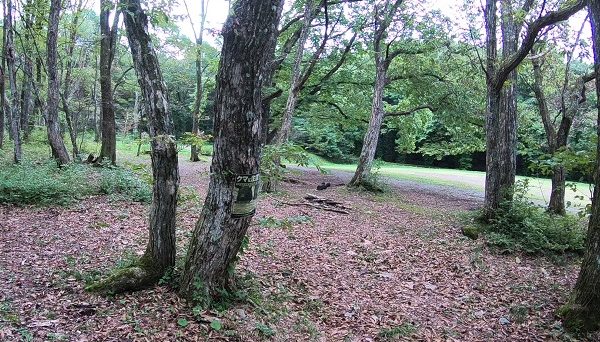 石倉沢キャンプ場