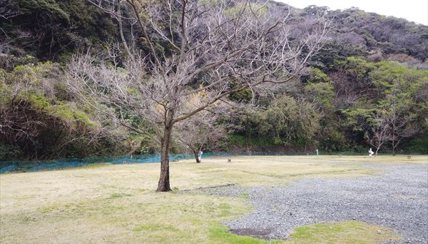 石廊崎オートキャンプ場 石廊崎オートキャンプ場