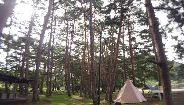 秋山浜キャンプ場