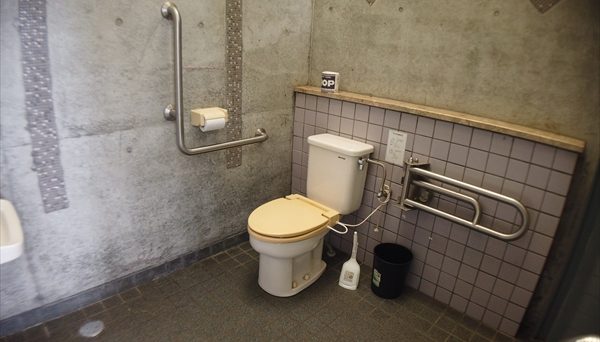 秋山浜キャンプ場