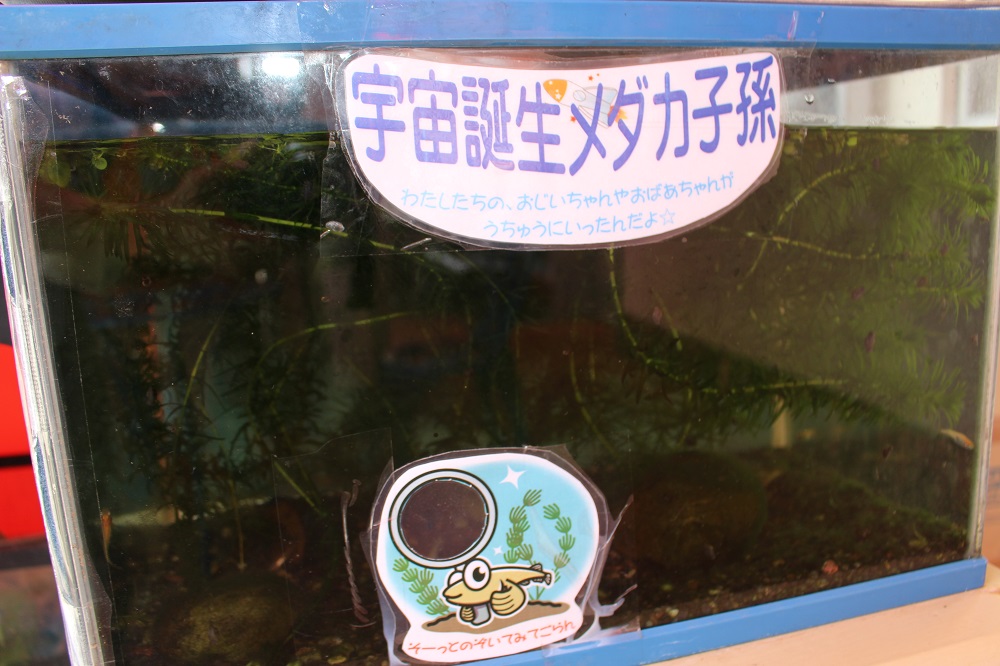 竜洋海洋公園オートキャンプ場