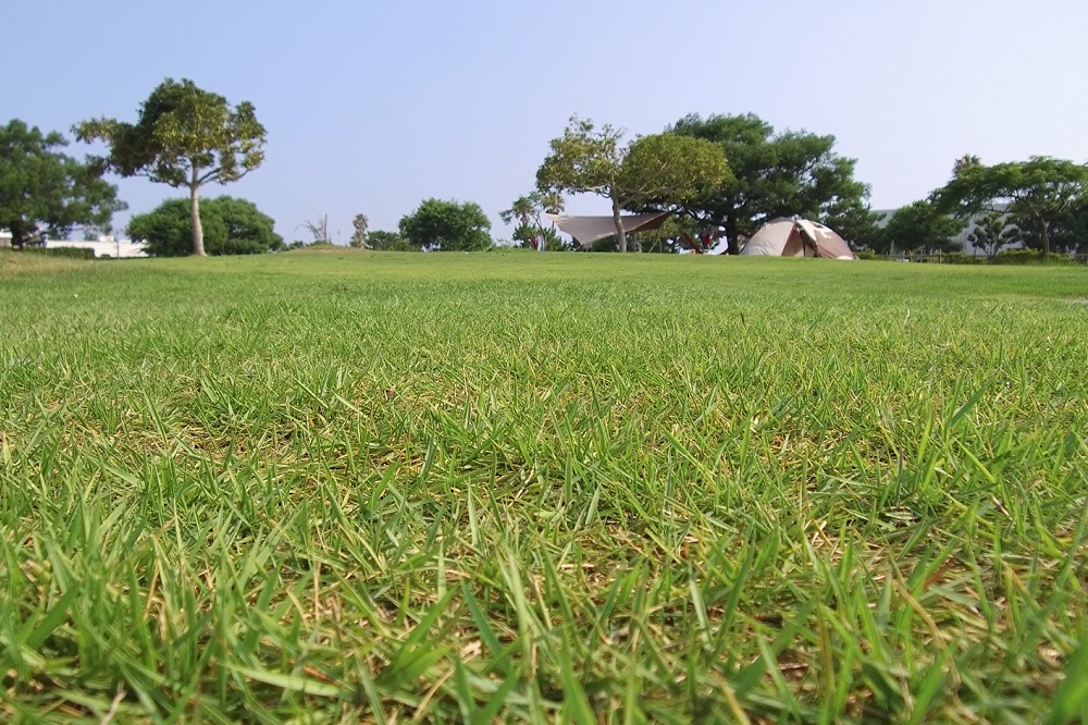 竜洋海洋公園オートキャンプ場