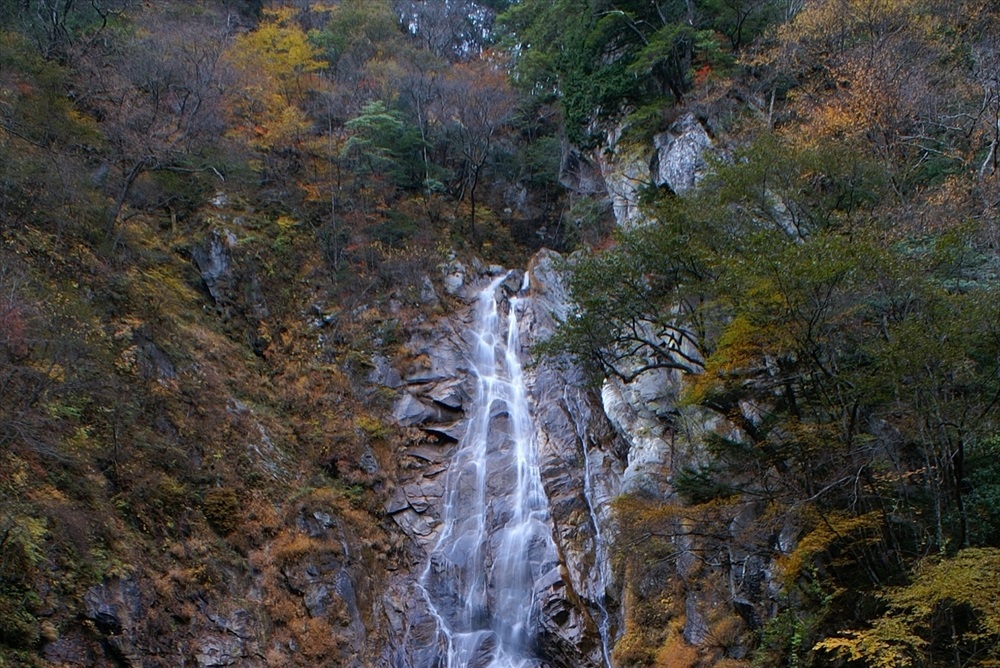 篠沢大滝キャンプ場