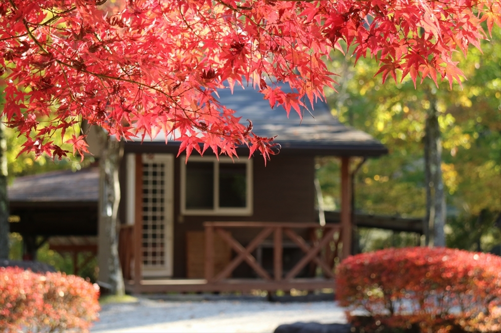 篠沢大滝キャンプ場