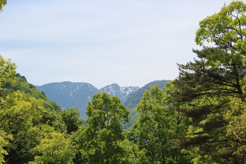 篠沢大滝キャンプ場