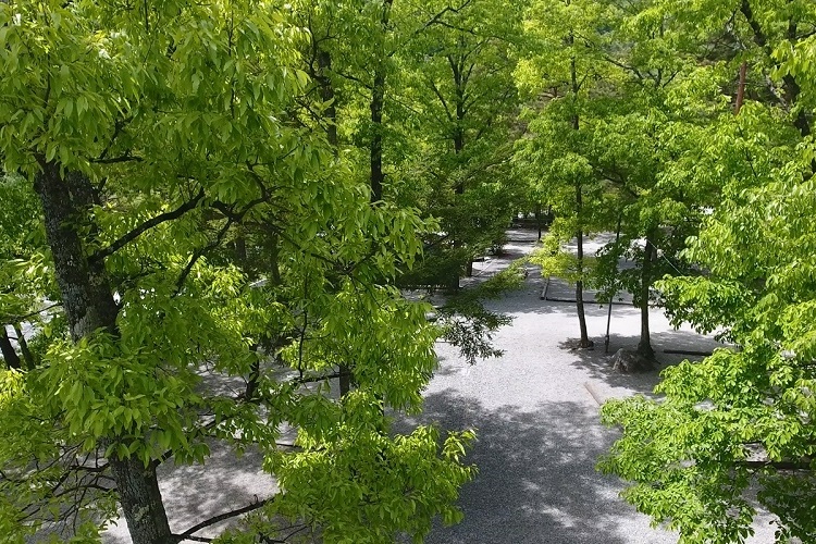 篠沢大滝キャンプ場