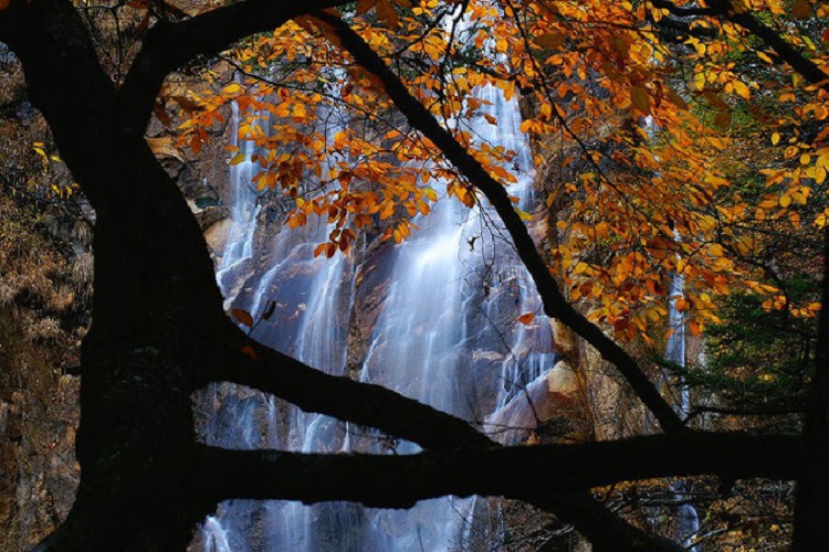 篠沢大滝キャンプ場