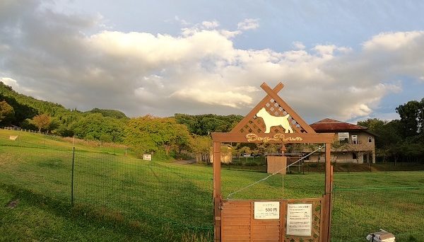 田沢湖オートキャンプ場 縄文の森たざわこ