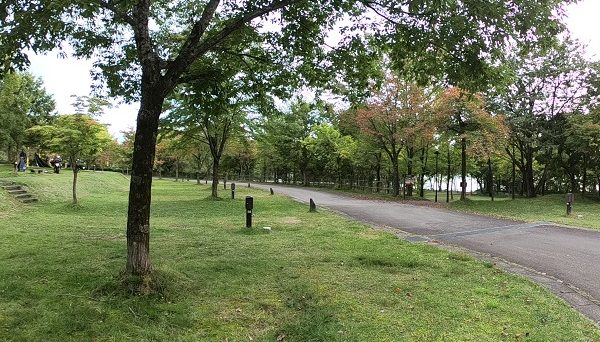 田沢湖オートキャンプ場 縄文の森たざわこ