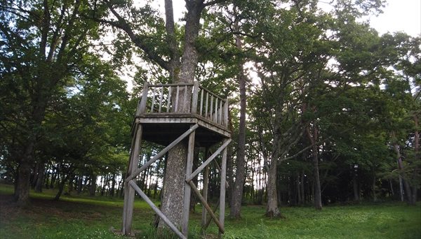 美女高原キャンプ場