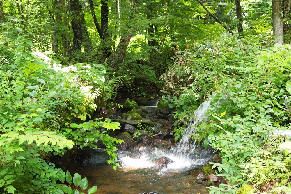 羽鳥湖畔オートキャンプ場
