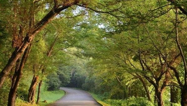 能登島家族旅行村Weランド