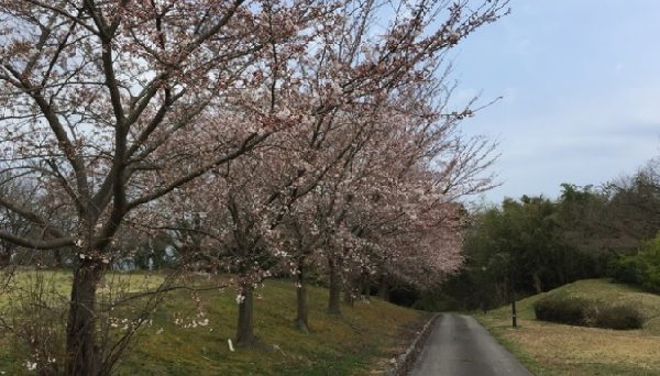 能登島家族旅行村Weランド