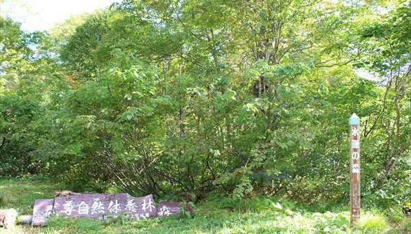 自然の森野営場