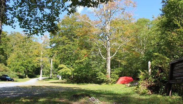 自然の森野営場