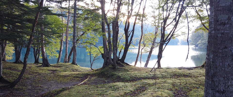 菅沼キャンプ村