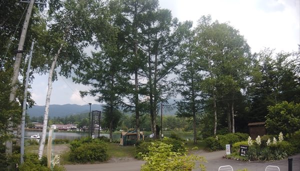 蓼の花キャンプ場