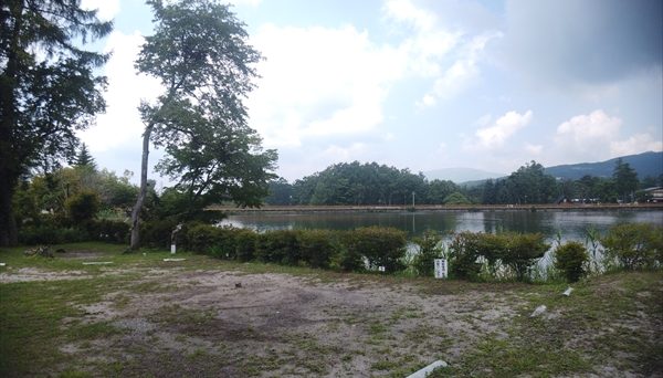 蓼の花キャンプ場