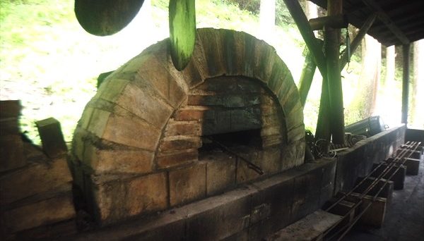 西丹沢大滝キャンプ場