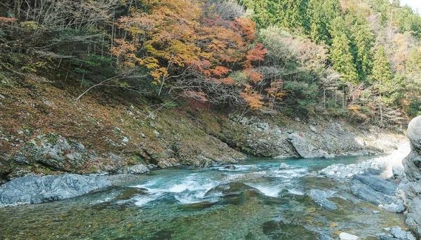 西之谷ふれあいの森キャンプ場