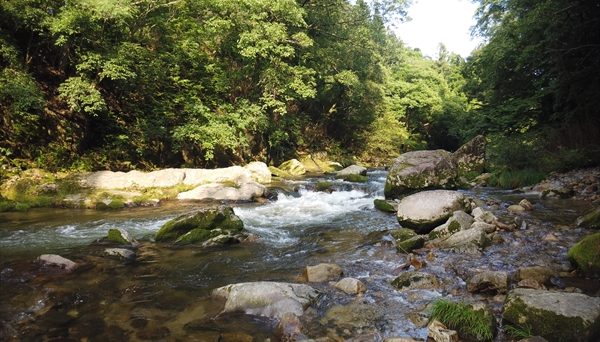 設楽オートキャンプ場