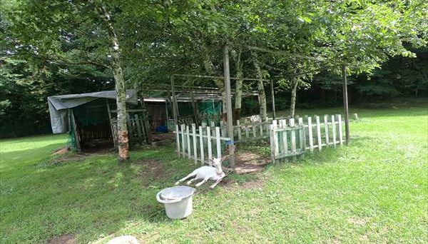 赤倉の森オートキャンプ場