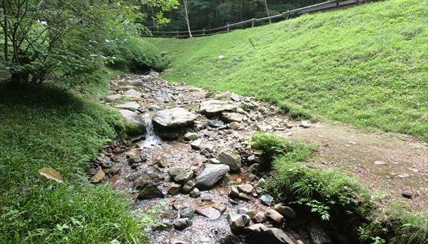 赤倉の森オートキャンプ場