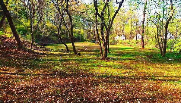 KARUIZAWA CAMP GOLD（軽井沢キャンプゴールド）