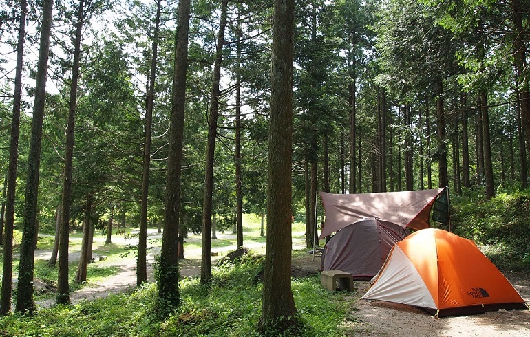 那須たかはらオートキャンプ場インタビュー