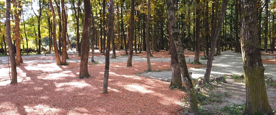 那須板室ファミリーオートキャンプ場ハピスポ