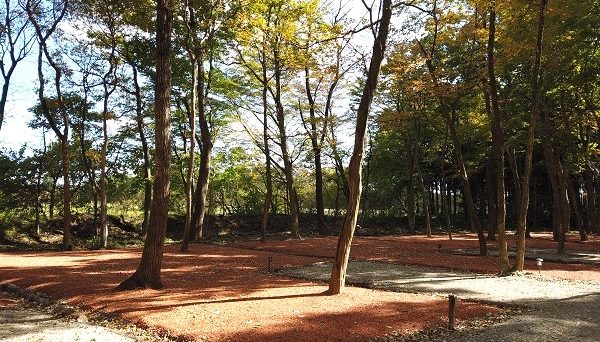 那須板室ファミリーオートキャンプ場ハピスポ