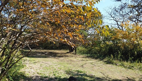 那須高原ITAMUROキャンプ場