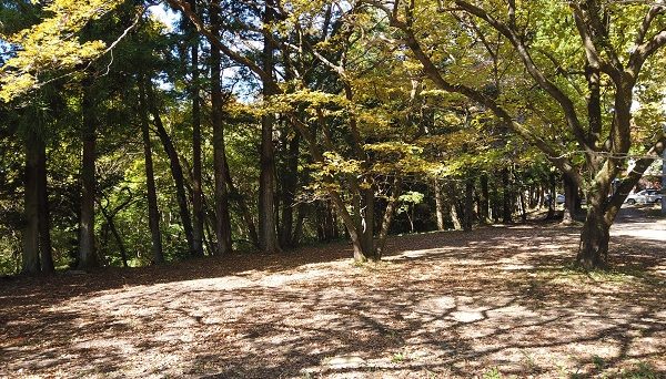 那須高原ITAMUROキャンプ場