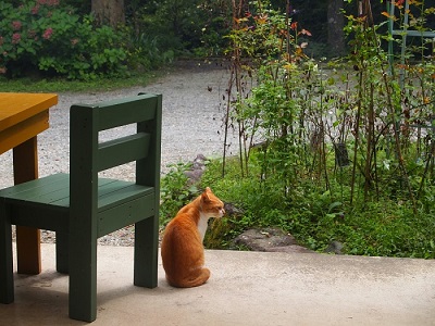 那須高原アカルパ