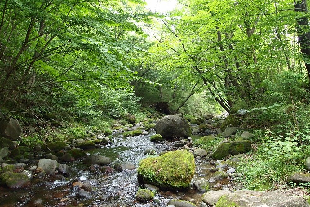 那須高原アカルパオートキャンプ場